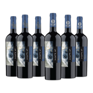 BAR DE COPAS - VINOS VIÑA SUTIL, LA PLAYA, CHONO WINES