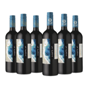 BAR DE COPAS - VINOS VIÑA SUTIL, LA PLAYA, CHONO WINES