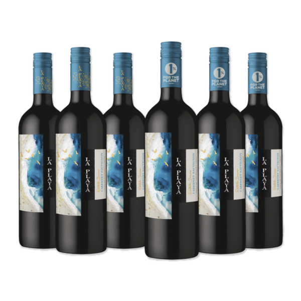 BAR DE COPAS - VINOS VIÑA SUTIL, LA PLAYA, CHONO WINES