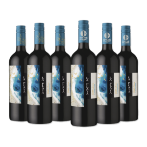 BAR DE COPAS - VINOS VIÑA SUTIL, LA PLAYA, CHONO WINES