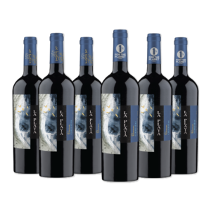 BAR DE COPAS - VINOS VIÑA SUTIL, LA PLAYA, CHONO WINES