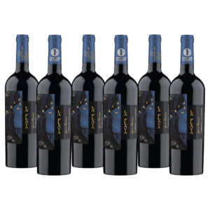 BAR DE COPAS - VINOS VIÑA SUTIL, LA PLAYA, CHONO WINES