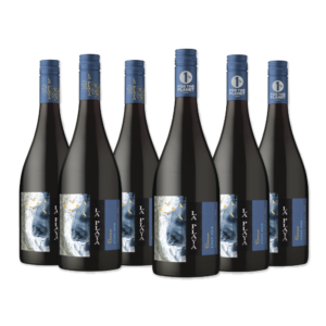 BAR DE COPAS - VINOS VIÑA SUTIL, LA PLAYA, CHONO WINES